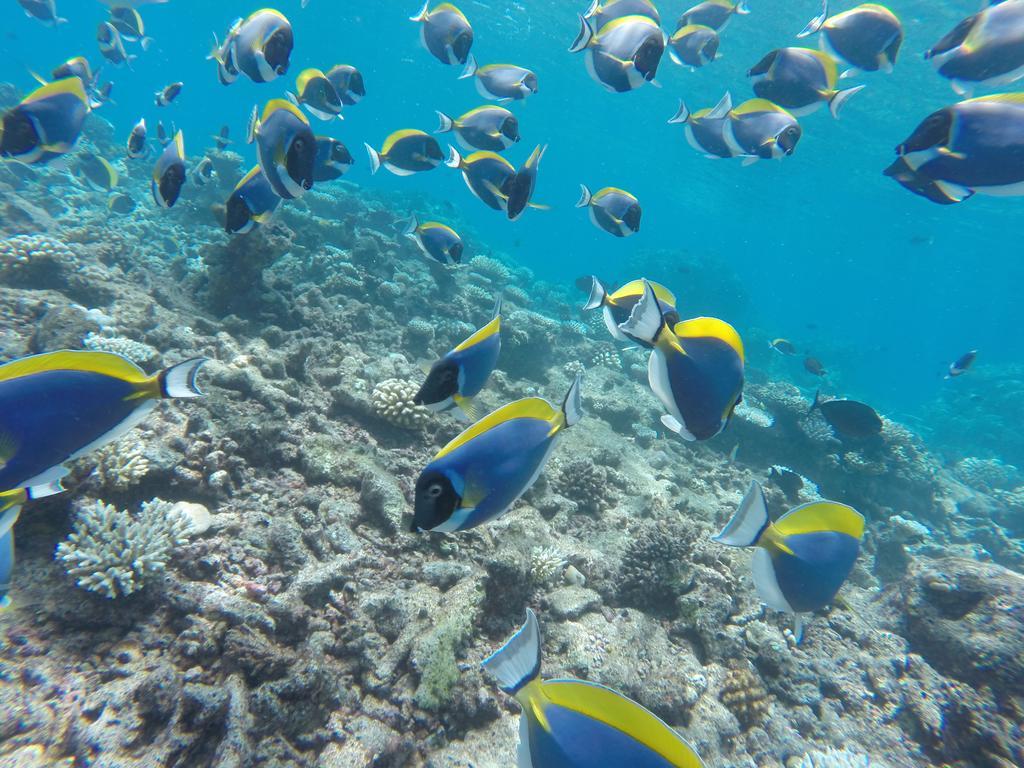 Salt Beach Hotel Maafushi Ngoại thất bức ảnh
