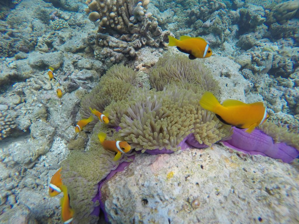 Salt Beach Hotel Maafushi Ngoại thất bức ảnh